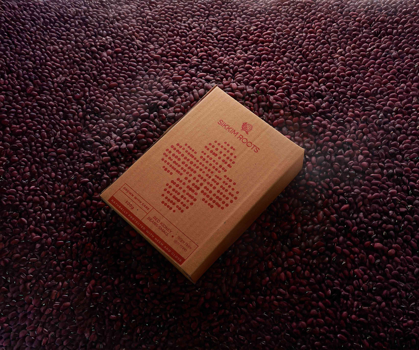 Small Red Kidney Beans | 500 Grams