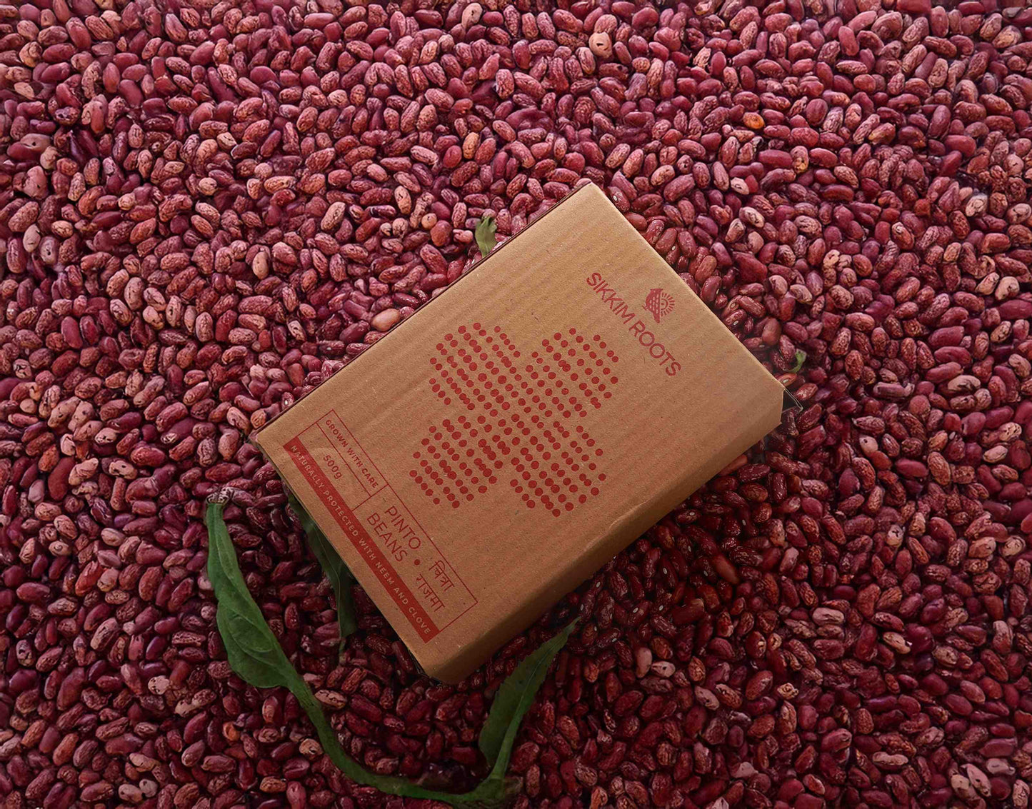 Pinto Beans (Chitra Rajma)