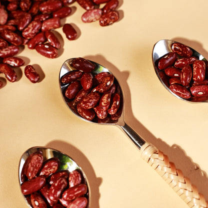 Pinto Beans (Chitra Rajma) | 500 Grams