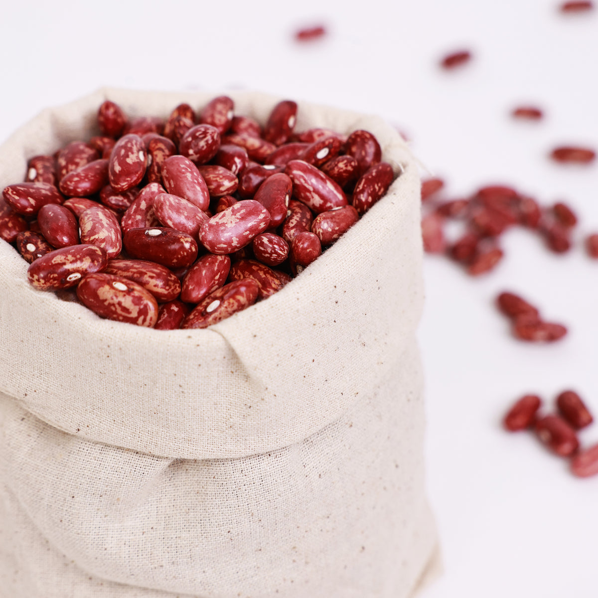 Pinto Beans (Chitra Rajma) | 500 Grams