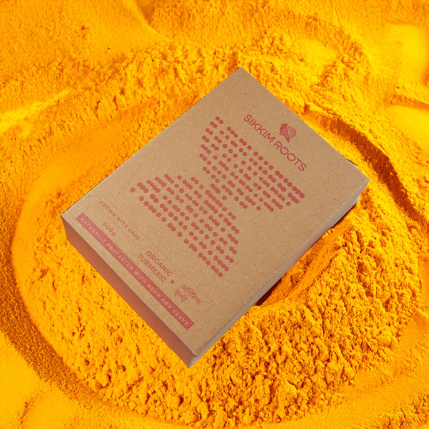 Organic Turmeric | 500 Grams