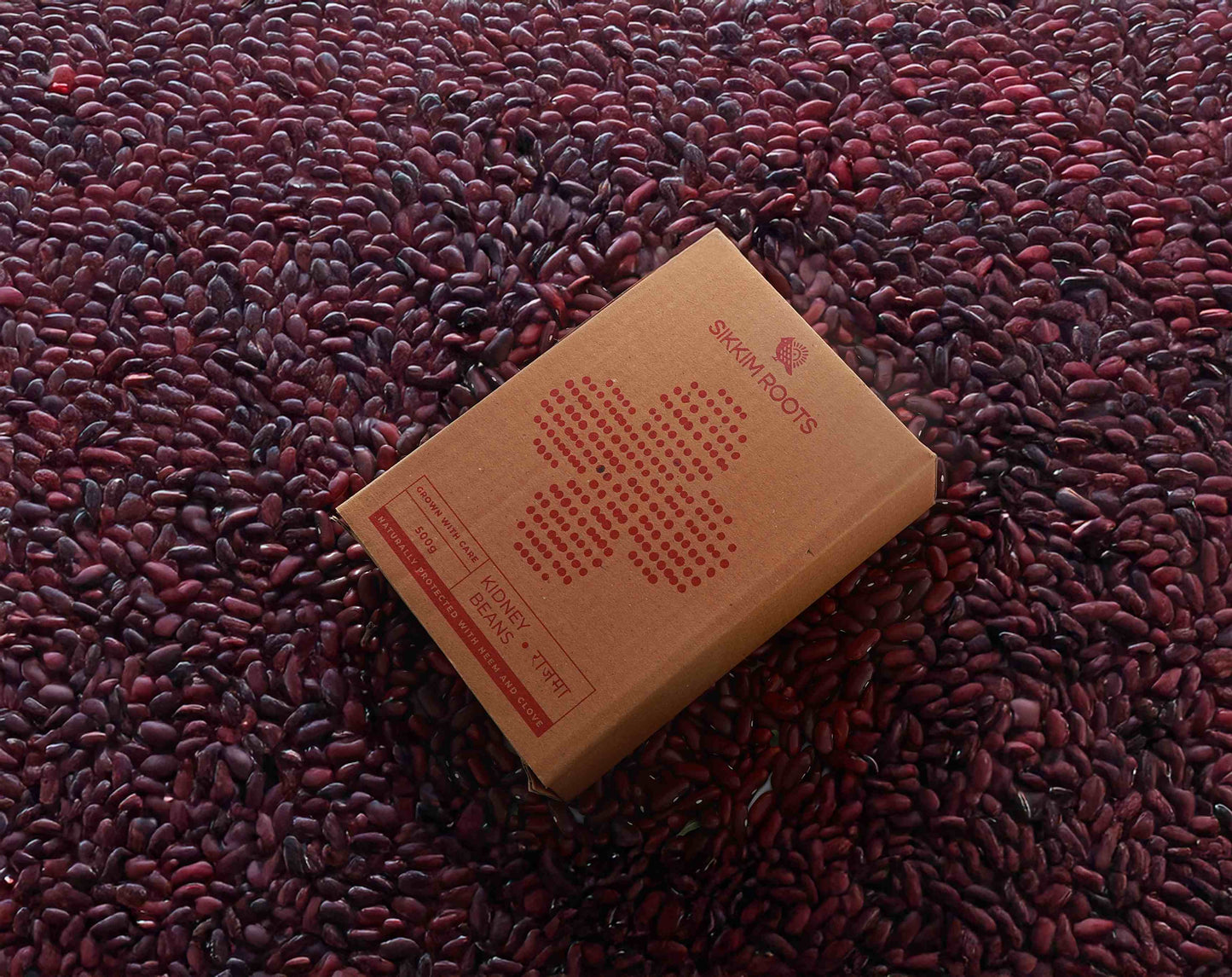 Kidney Beans (Rajma)