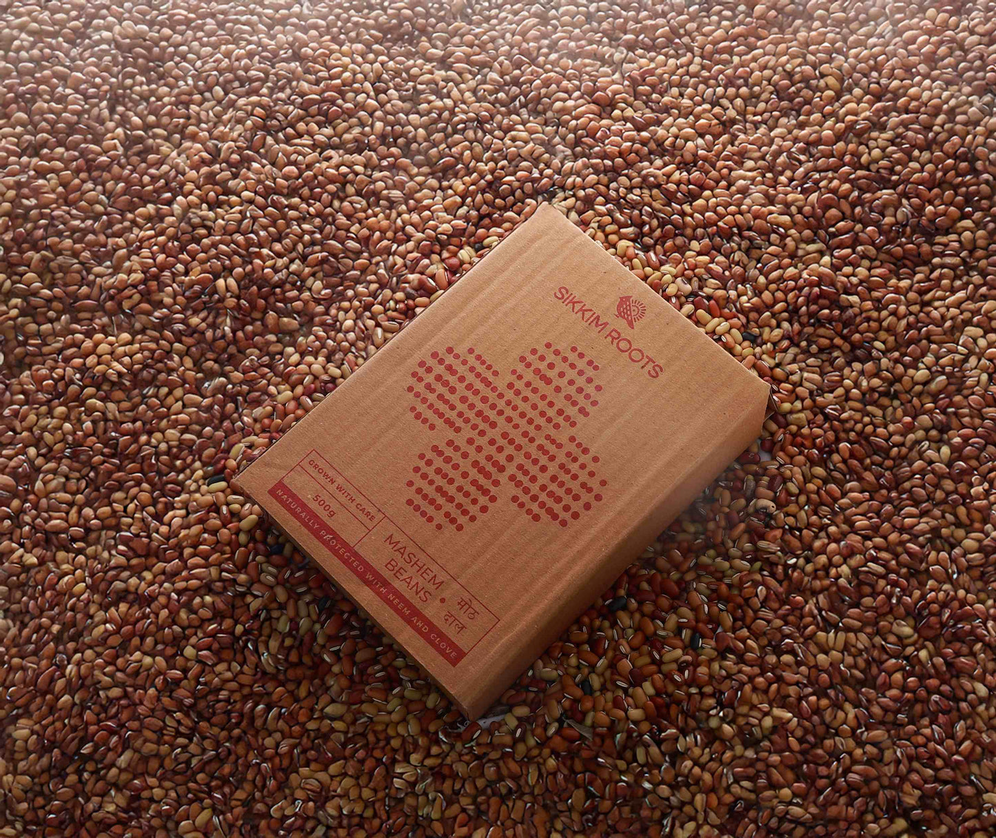 Mashem Beans