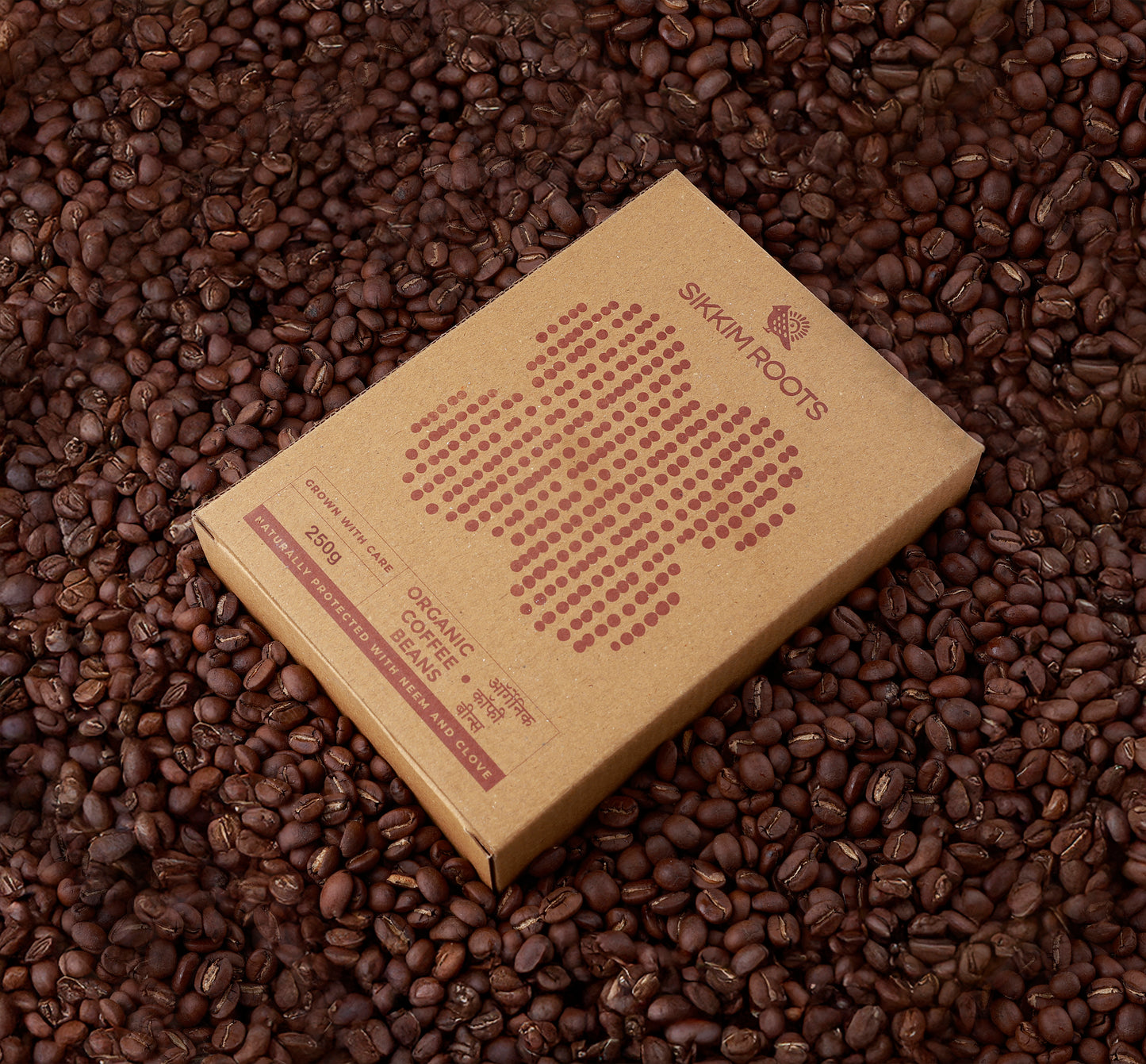 Organic Coffee Beans | 250 Grams